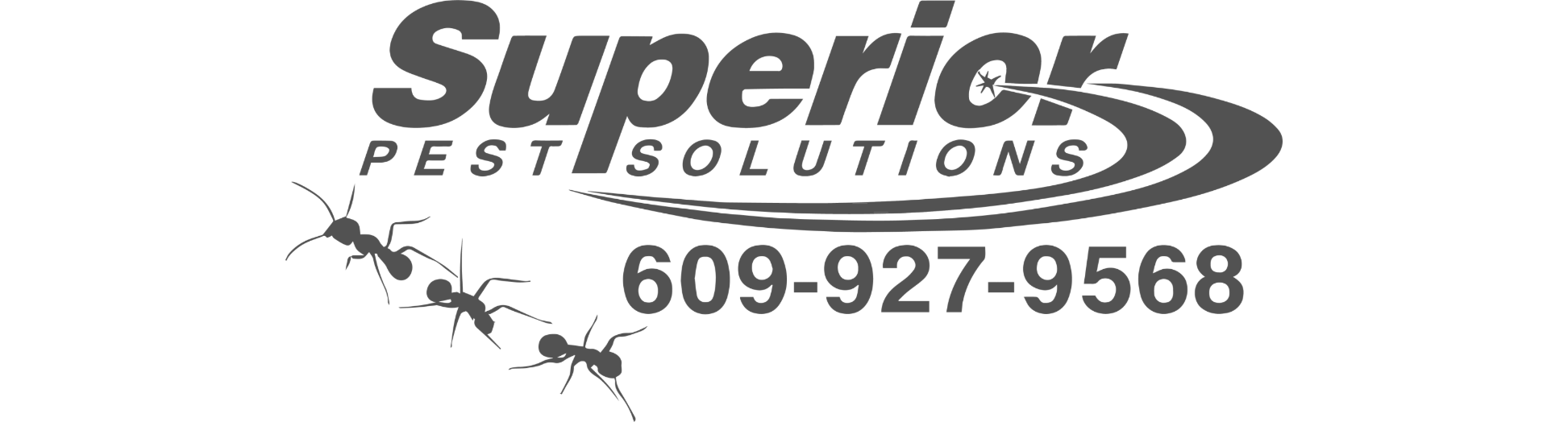Superior Pest